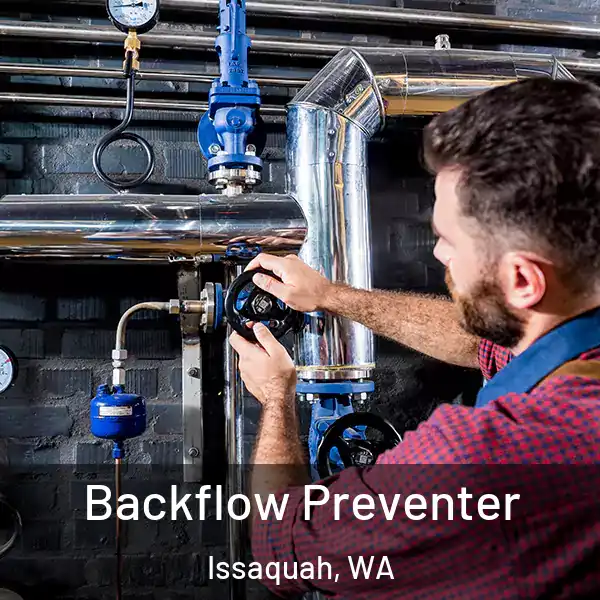  Backflow Preventer Issaquah, WA