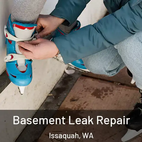  Basement Leak Repair Issaquah, WA