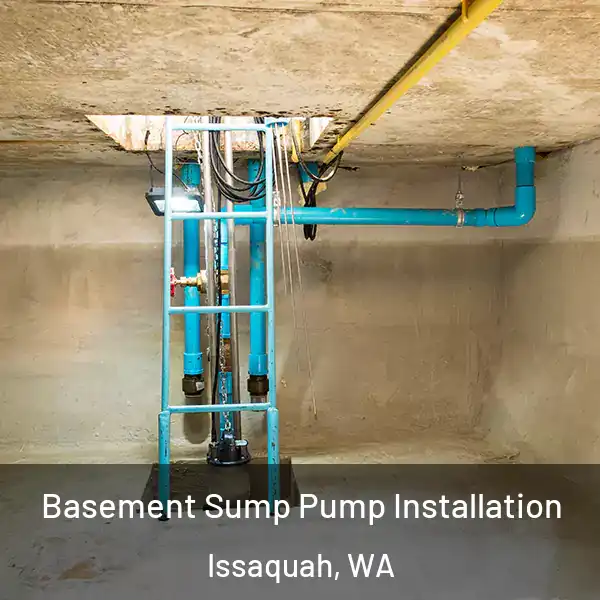  Basement Sump Pump Installation Issaquah, WA
