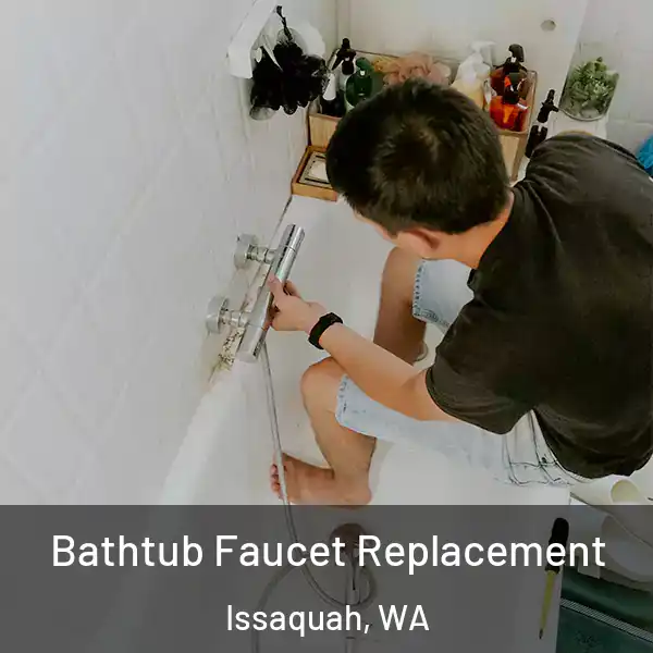 Bathtub Faucet Replacement Issaquah, WA