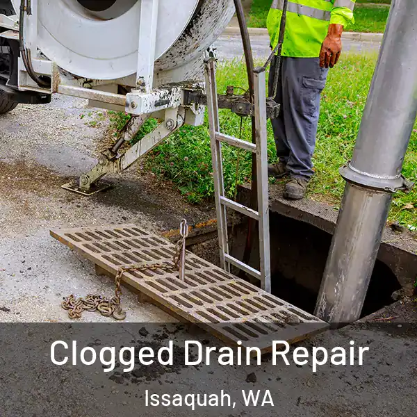  Clogged Drain Repair Issaquah, WA
