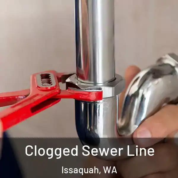  Clogged Sewer Line Issaquah, WA