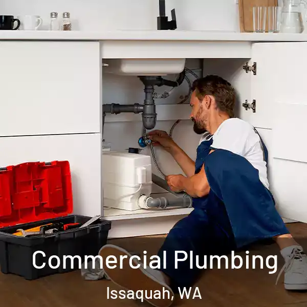  Commercial Plumbing Issaquah, WA