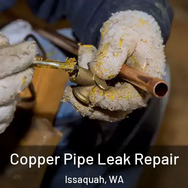  Copper Pipe Leak Repair Issaquah, WA