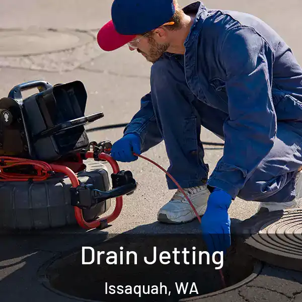  Drain Jetting Issaquah, WA