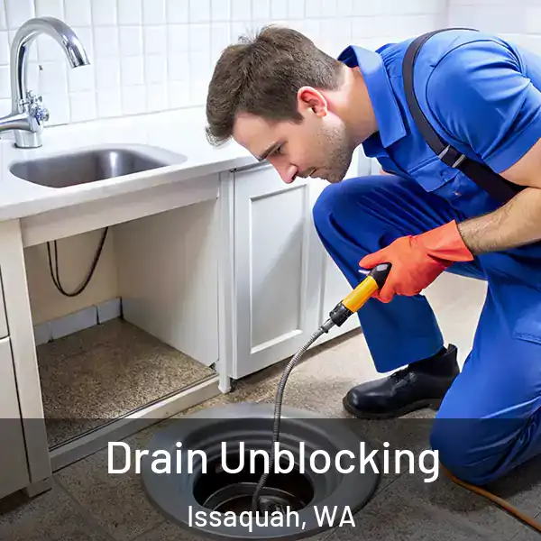  Drain Unblocking Issaquah, WA