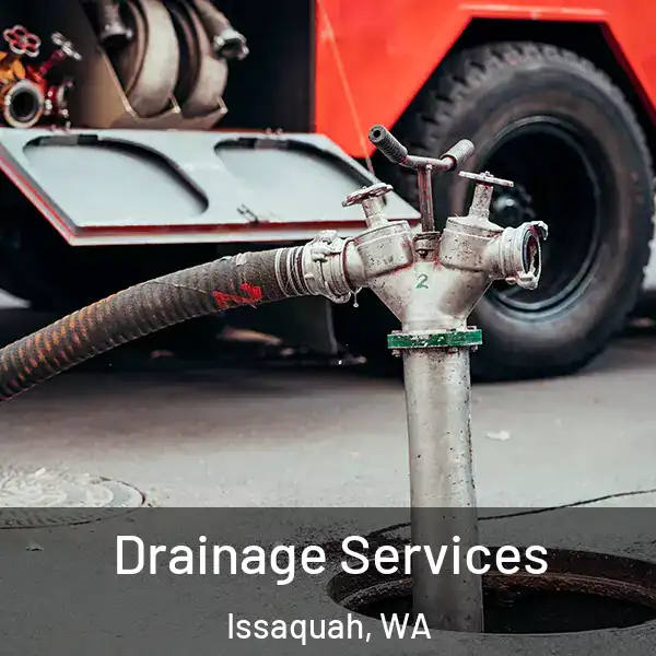  Drainage Services Issaquah, WA