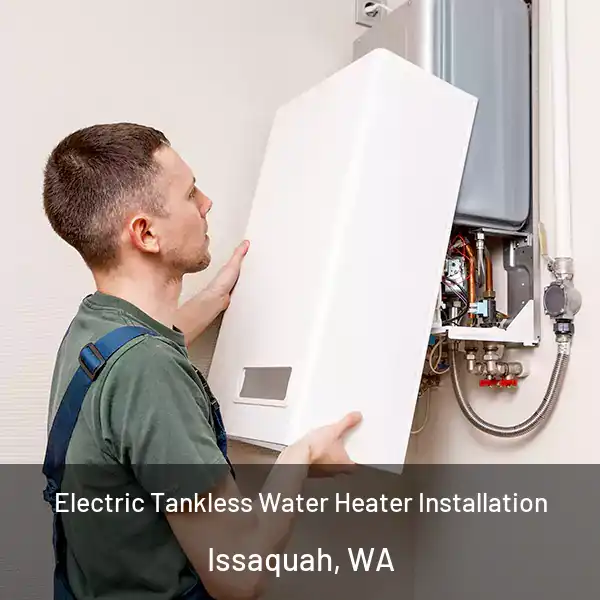  Electric Tankless Water Heater Installation Issaquah, WA