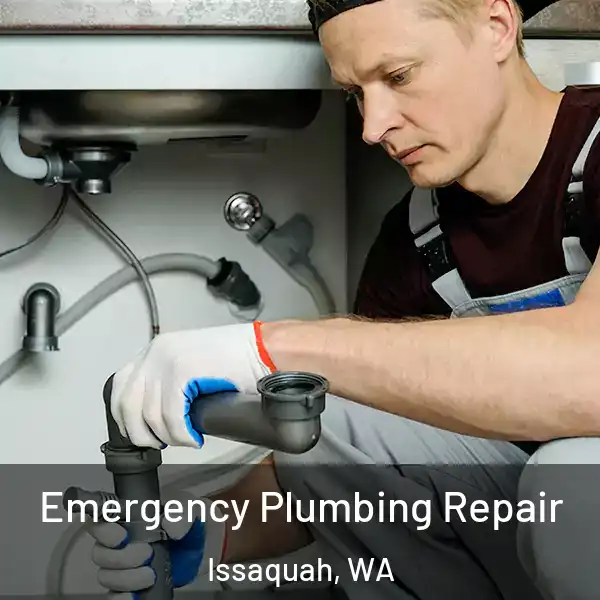  Emergency Plumbing Repair Issaquah, WA