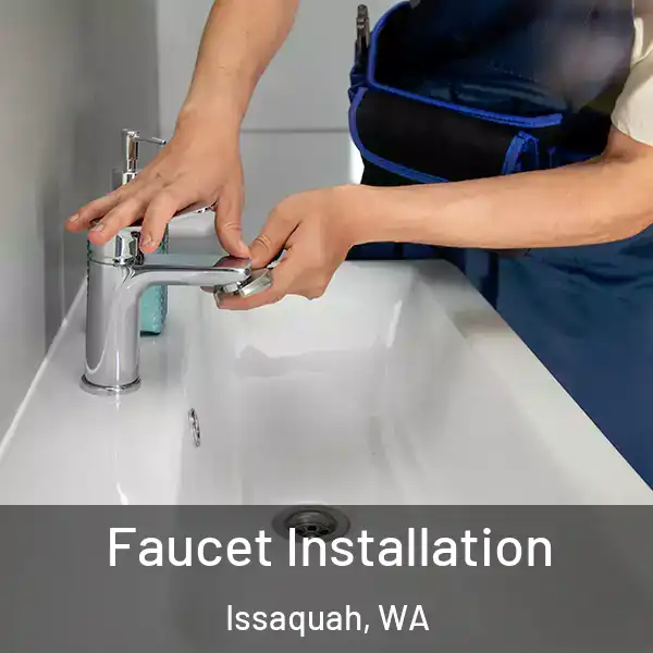  Faucet Installation Issaquah, WA