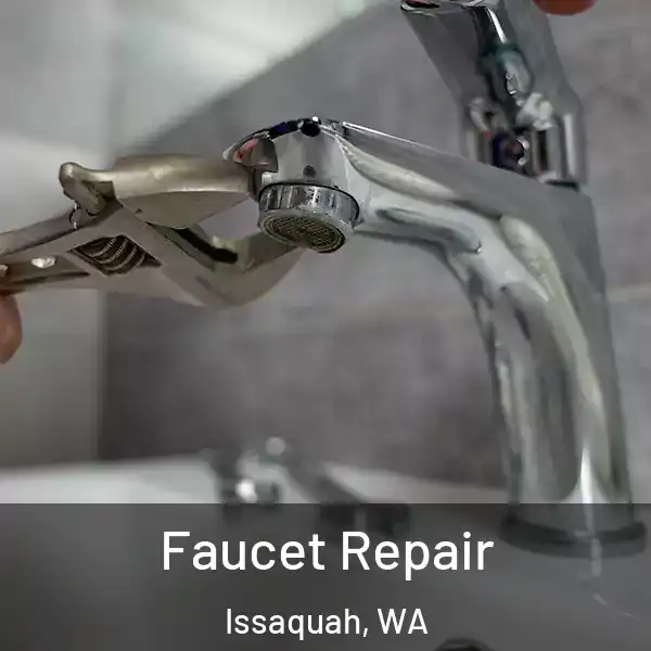  Faucet Repair Issaquah, WA