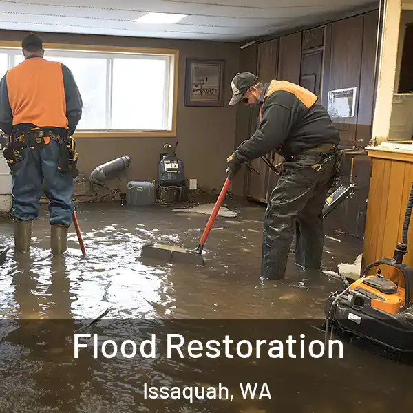  Flood Restoration Issaquah, WA