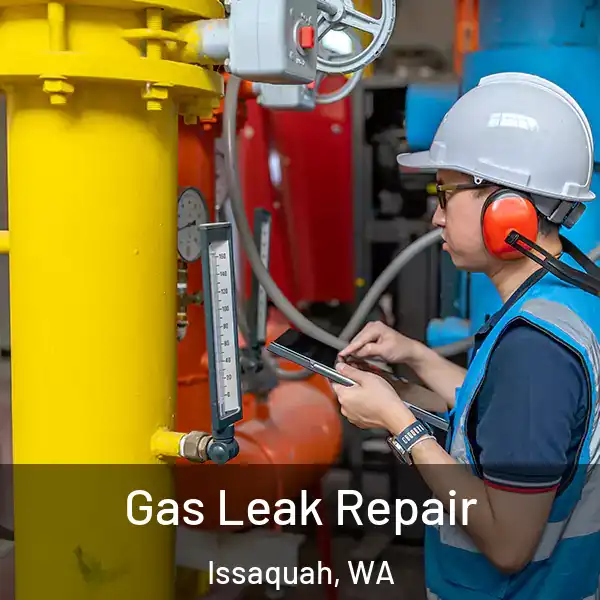 Gas Leak Repair Issaquah, WA
