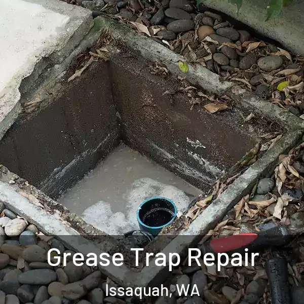  Grease Trap Repair Issaquah, WA