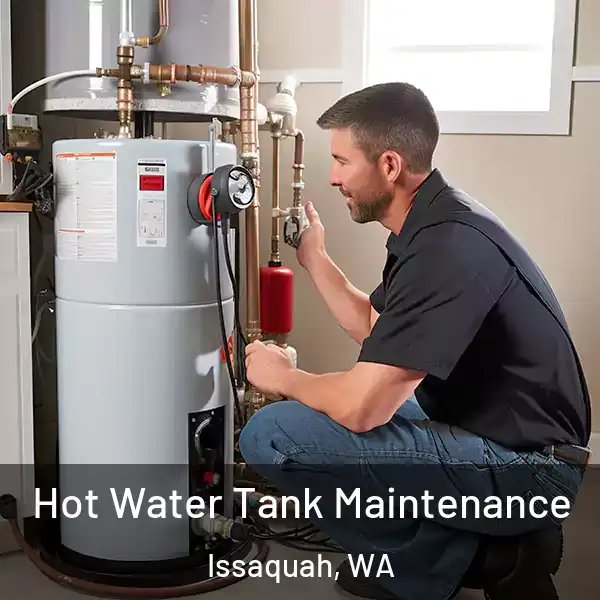  Hot Water Tank Maintenance Issaquah, WA