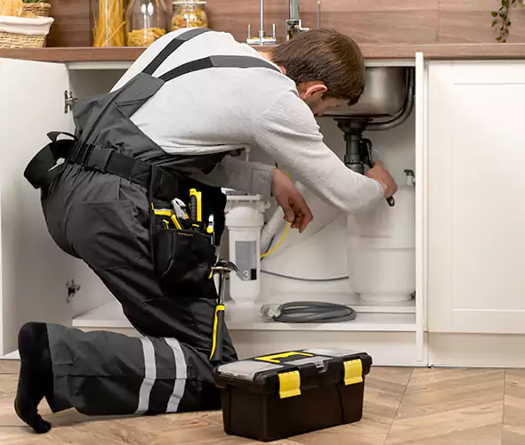 Certified Plumbers for Insinkerator Installation in Issaquah