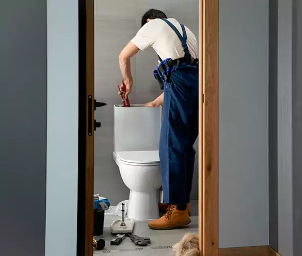 Professional Plumbers for Toilet Bowl Replacement in Issaquah, WA: Schedule Affordable Toilet Replacement Services With Us