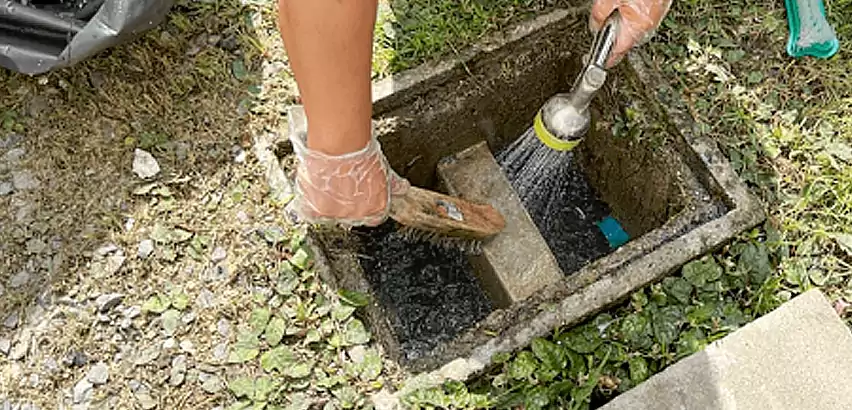 Professional Grease Trap Cleaning Services in Issaquah, WA