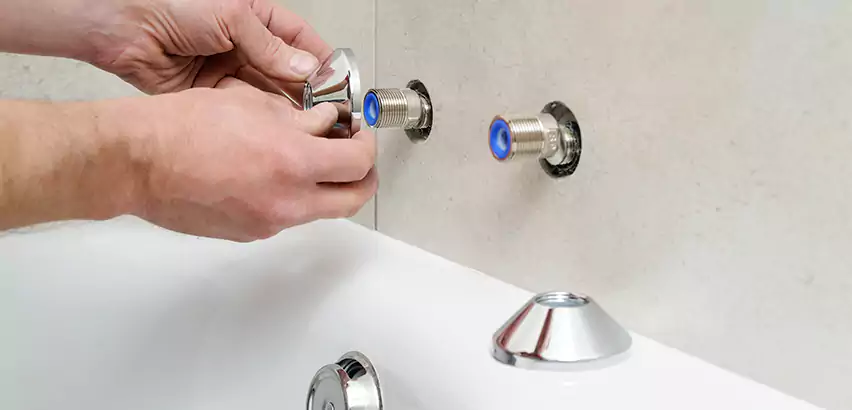 Bathtub Faucet Diverter Replacement in Issaquah