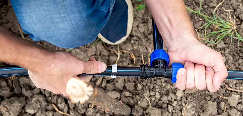 Irrigation Leak Detection in Issaquah