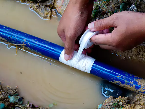  Why Choose Issaquah's Plumbing for Leak Detection in Issaquah, WA?]