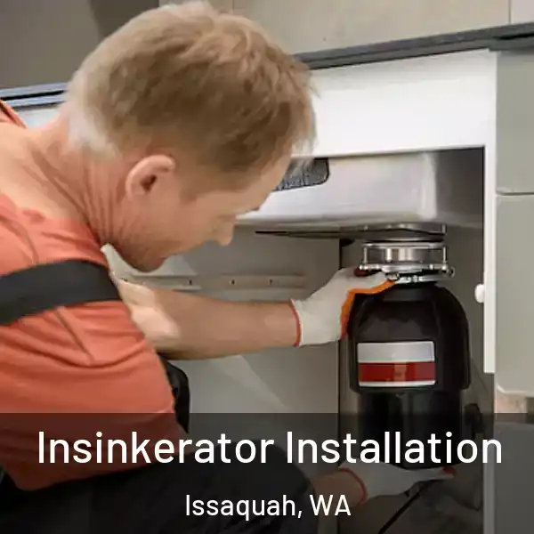  Insinkerator Installation Issaquah, WA