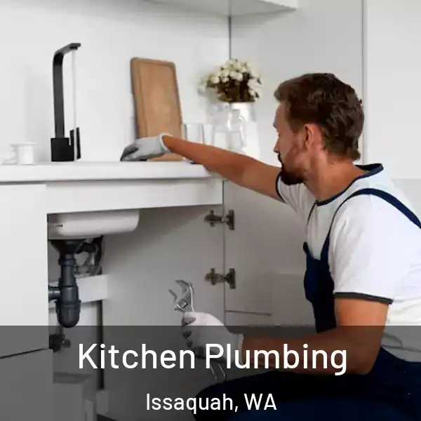  Kitchen Plumbing Issaquah, WA