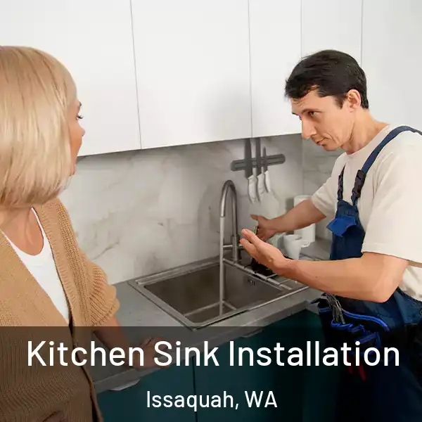  Kitchen Sink Installation Issaquah, WA