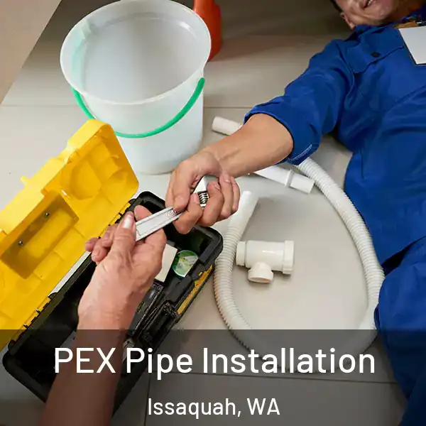  PEX Pipe Installation Issaquah, WA