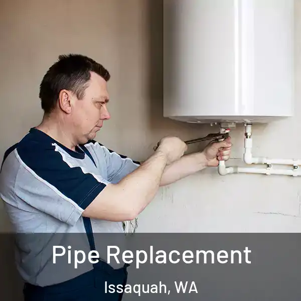  Pipe Replacement Issaquah, WA
