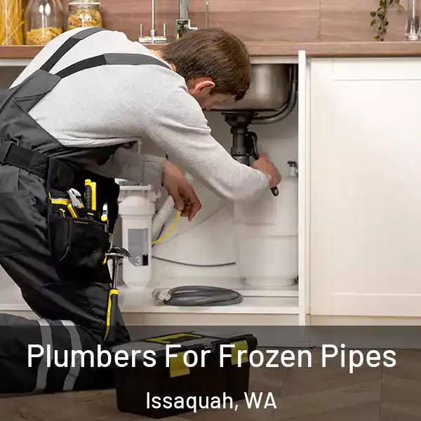  Plumbers For Frozen Pipes Issaquah, WA