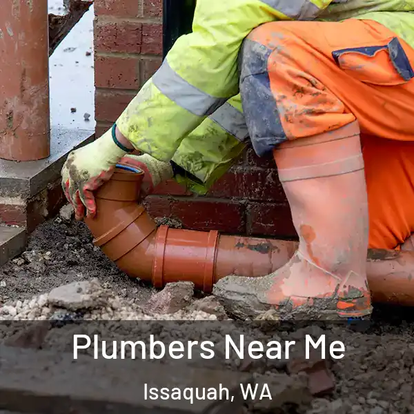  Plumbers Near Me Issaquah, WA