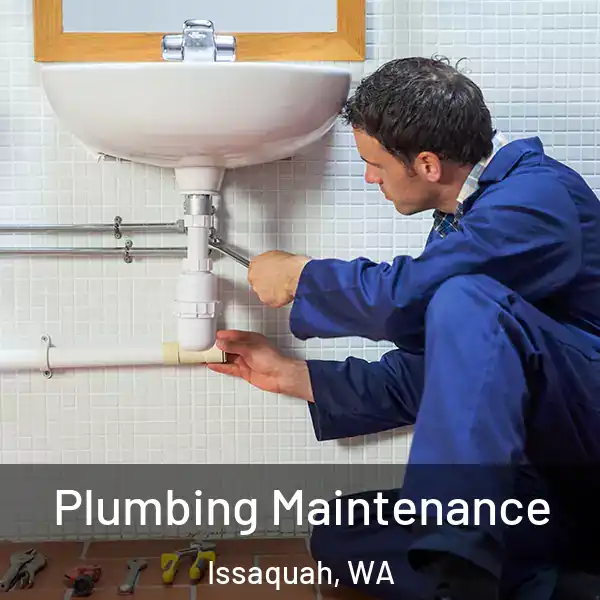  Plumbing Maintenance Issaquah, WA