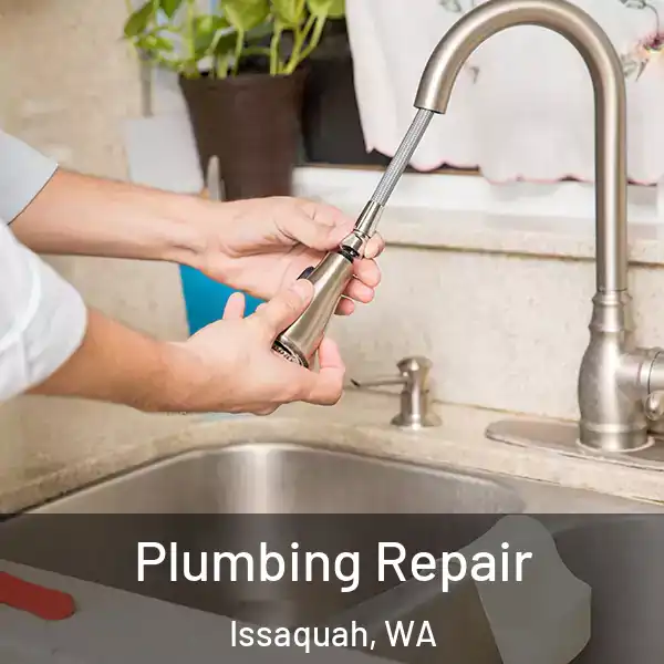  Plumbing Repair Issaquah, WA