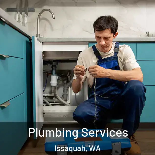  Plumbing Services Issaquah, WA