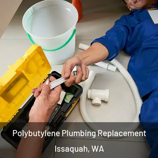  Polybutylene Plumbing Replacement Issaquah, WA
