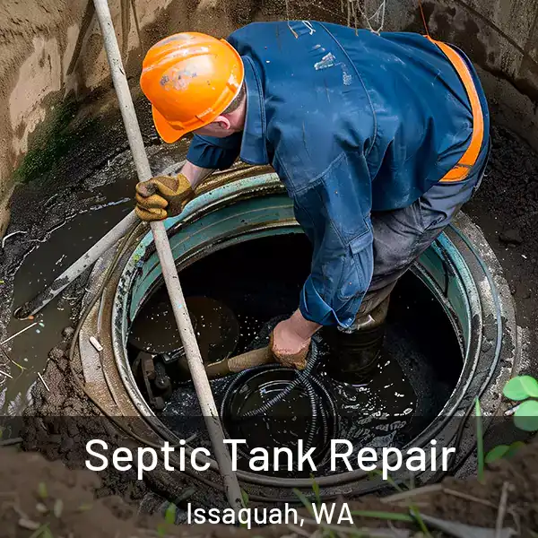  Septic Tank Repair Issaquah, WA