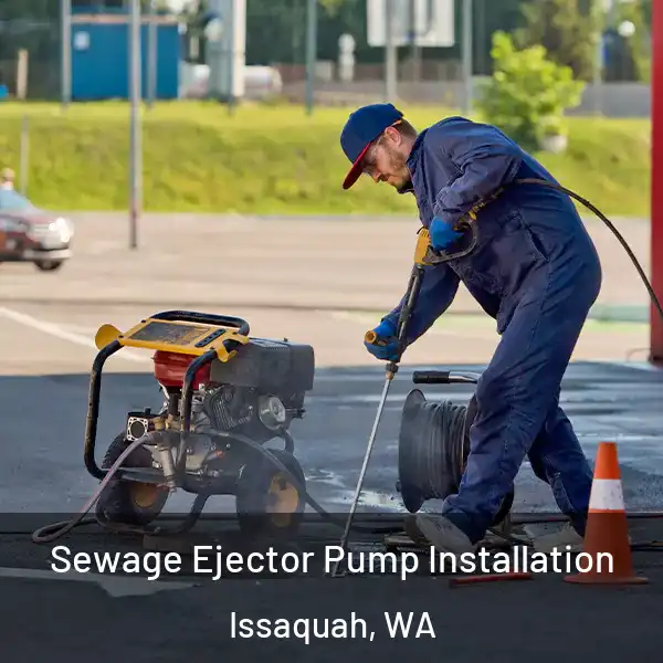  Sewage Ejector Pump Installation Issaquah, WA