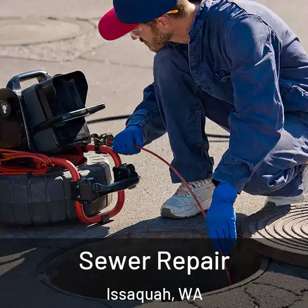  Sewer Repair Issaquah, WA
