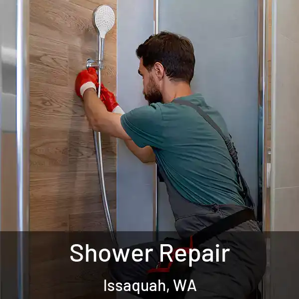  Shower Repair Issaquah, WA