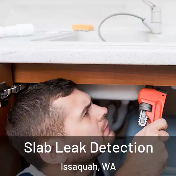  Slab Leak Detection Issaquah, WA
