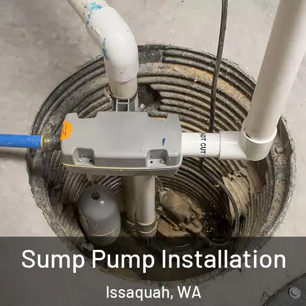  Sump Pump Installation Issaquah, WA