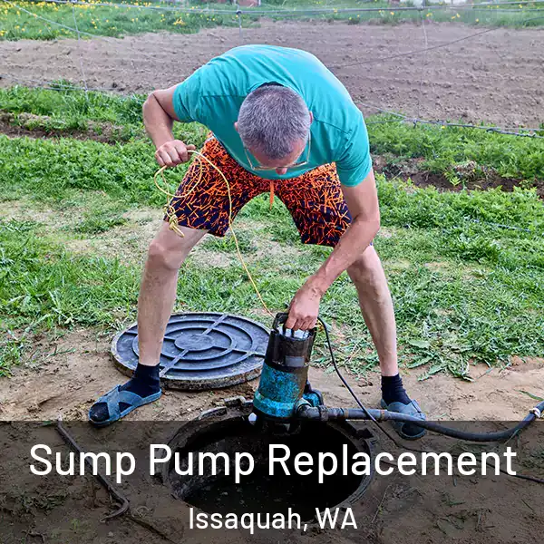  Sump Pump Replacement Issaquah, WA