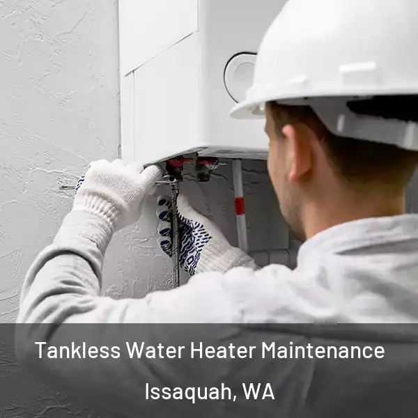  Tankless Water Heater Maintenance Issaquah, WA