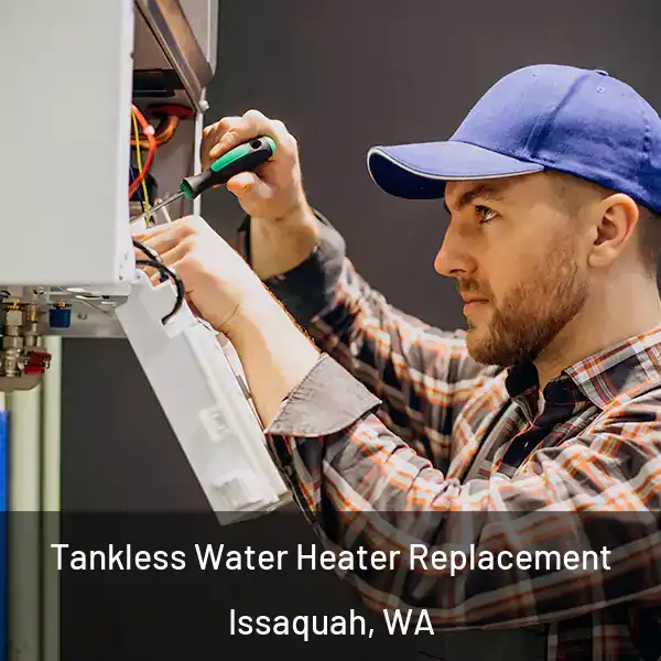  Tankless Water Heater Replacement Issaquah, WA