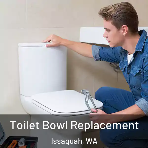 Toilet Bowl Replacement Issaquah, WA