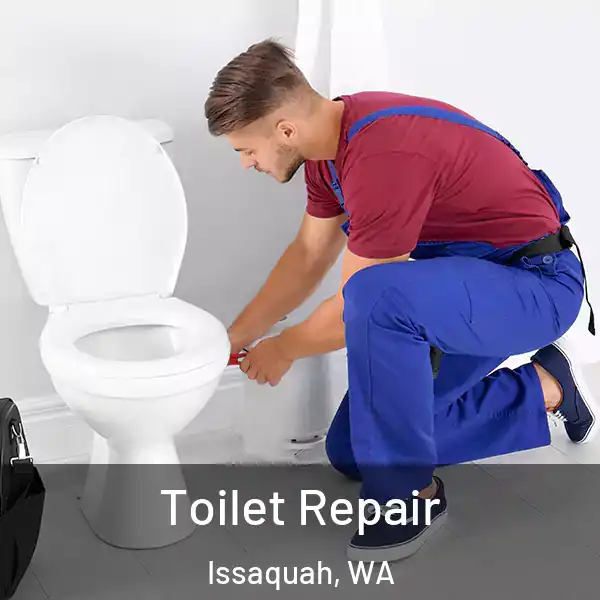  Toilet Repair Issaquah, WA