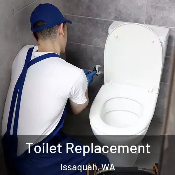  Toilet Replacement Issaquah, WA