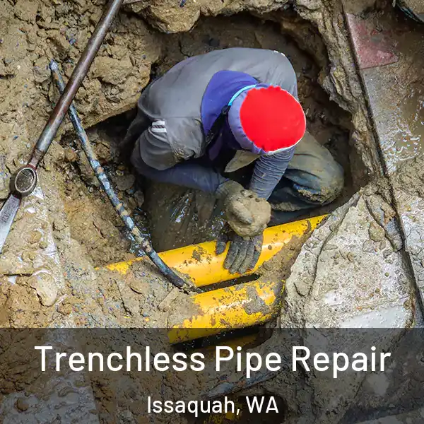  Trenchless Pipe Repair Issaquah, WA