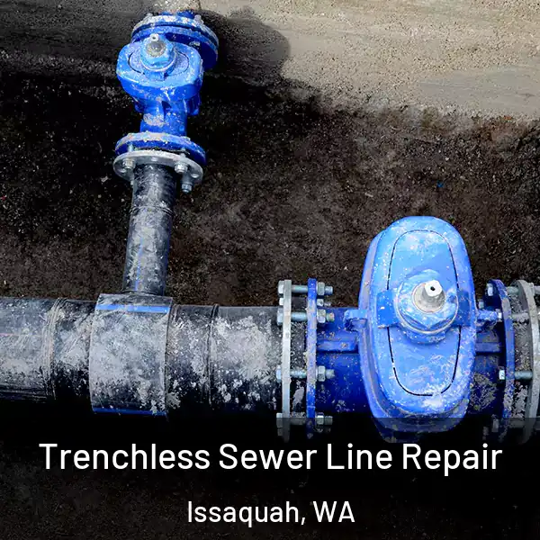  Trenchless Sewer Line Repair Issaquah, WA